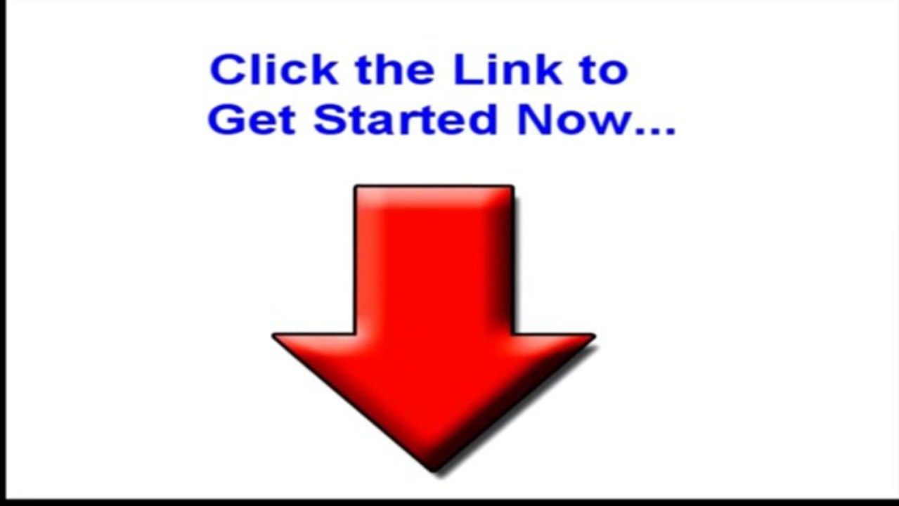 The Dog Training System