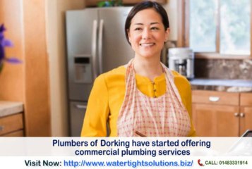 Plumbers in Epsom
