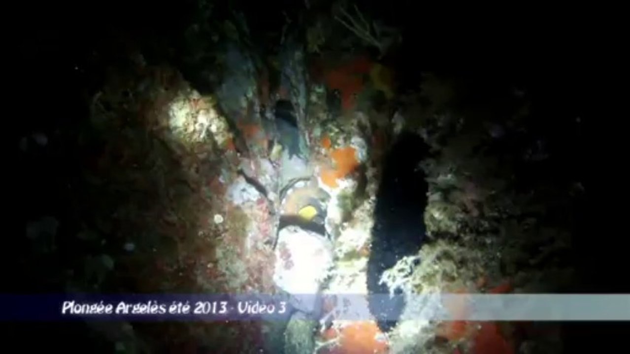 argeles 2013 . vidéo 3