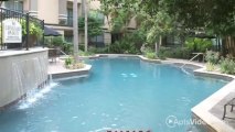 Montecito Apartments in Houston, TX - ForRent.com