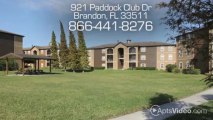 Paddock Club of Brandon Apartments in Brandon, FL - ForRent.com
