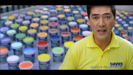 Davies Sun and Rain Elastomeric Paint with Bossing Vic Sotto