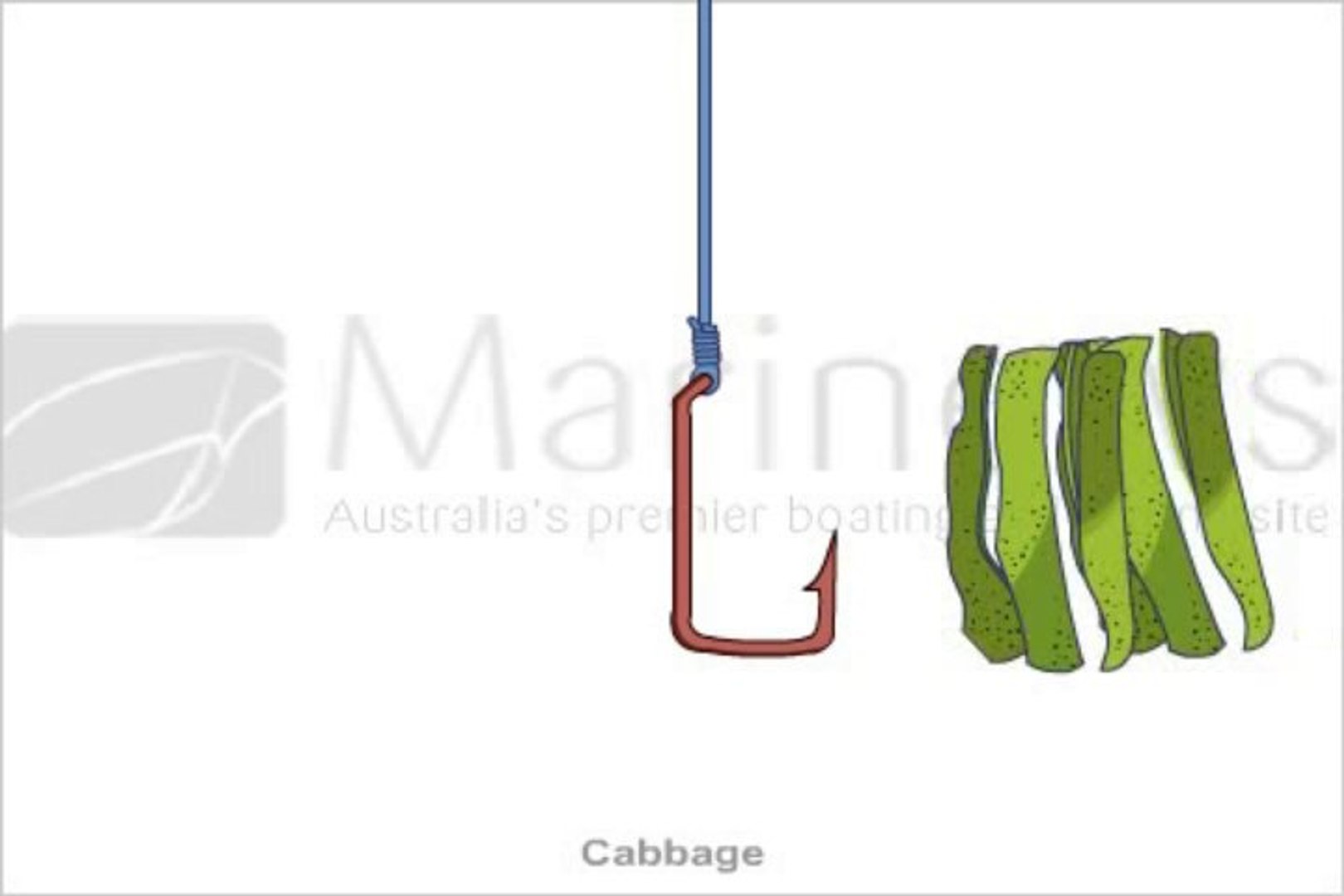 Learn how to tie  Cabbage Knot