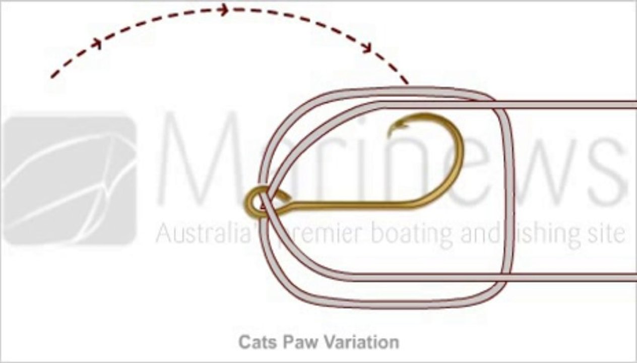 Learn how to tie  Cats Paw Veriation Knot