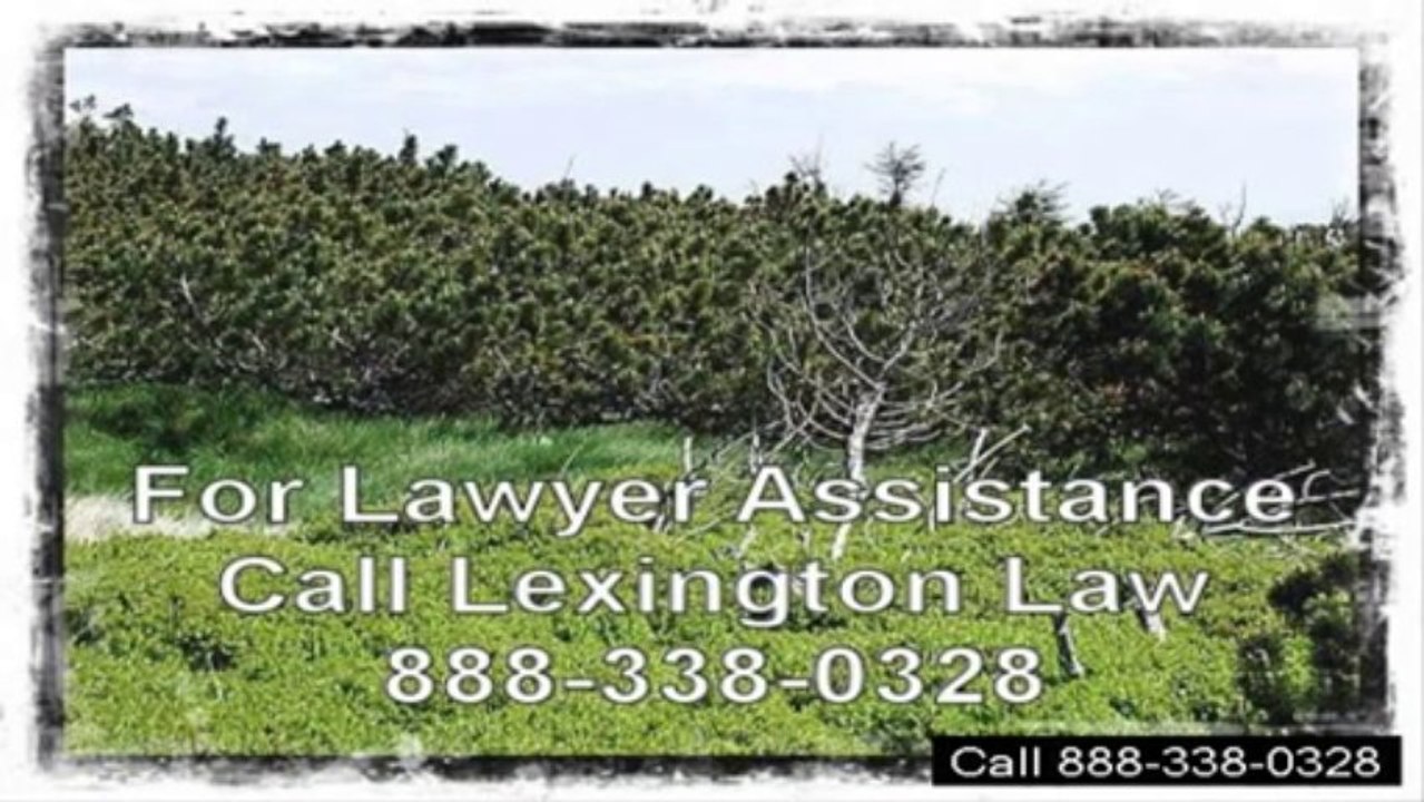 office number credit repair law firm around Park Ridge