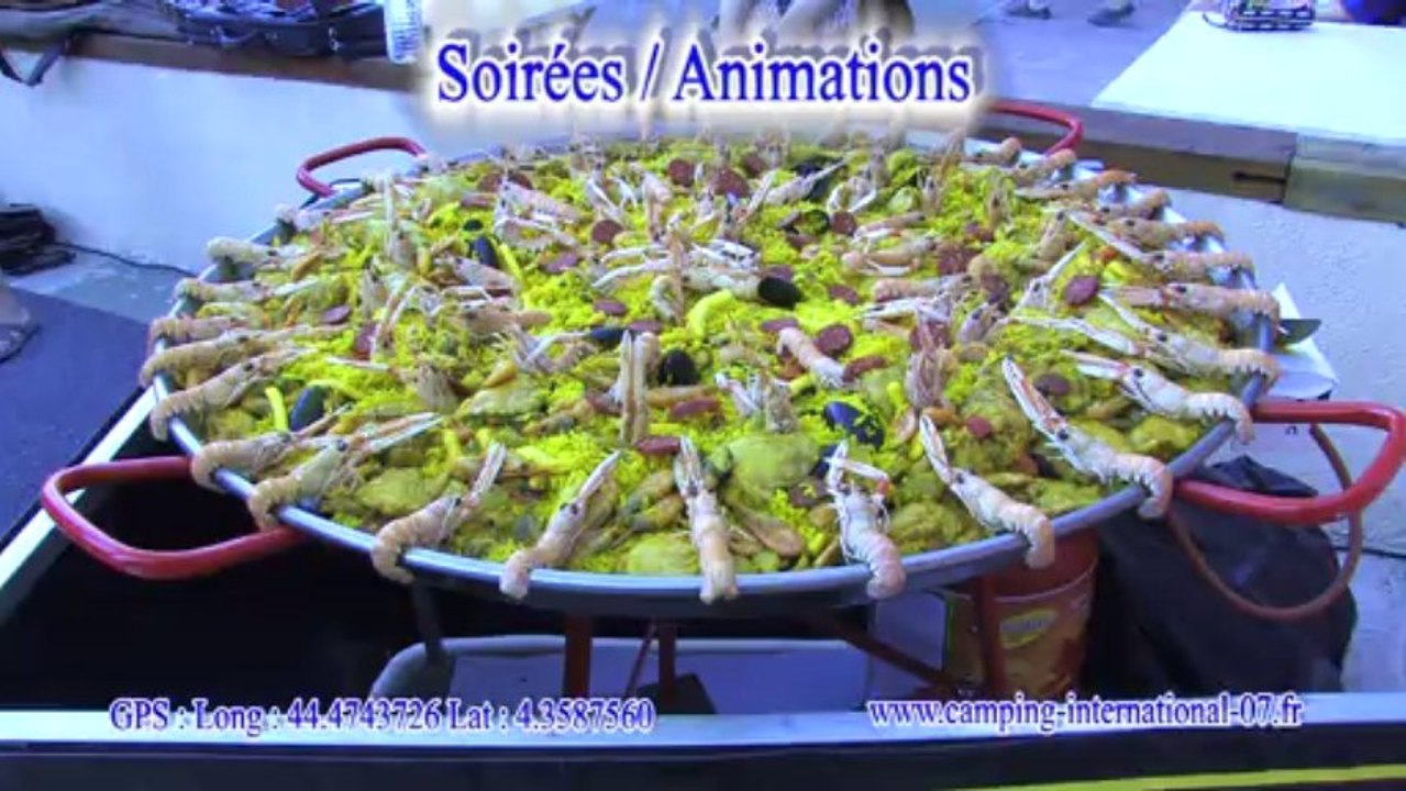 Camping International : le Camping par Mathieu Vignal