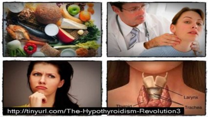 the hypothyroidism revolution program