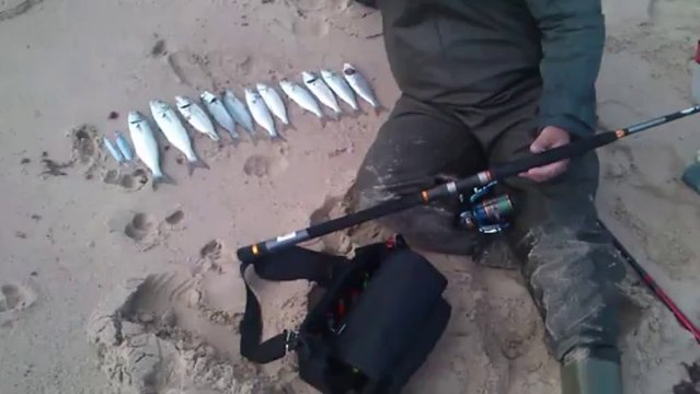 Bilent Yıldırım spin ile lüfer avı (blue fish)