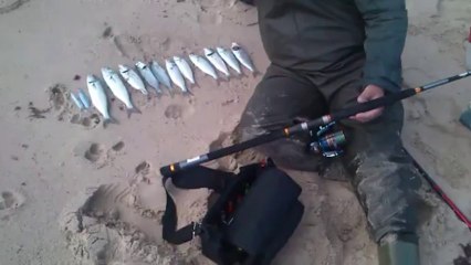 Bilent Yıldırım spin ile lüfer avı (blue fish)