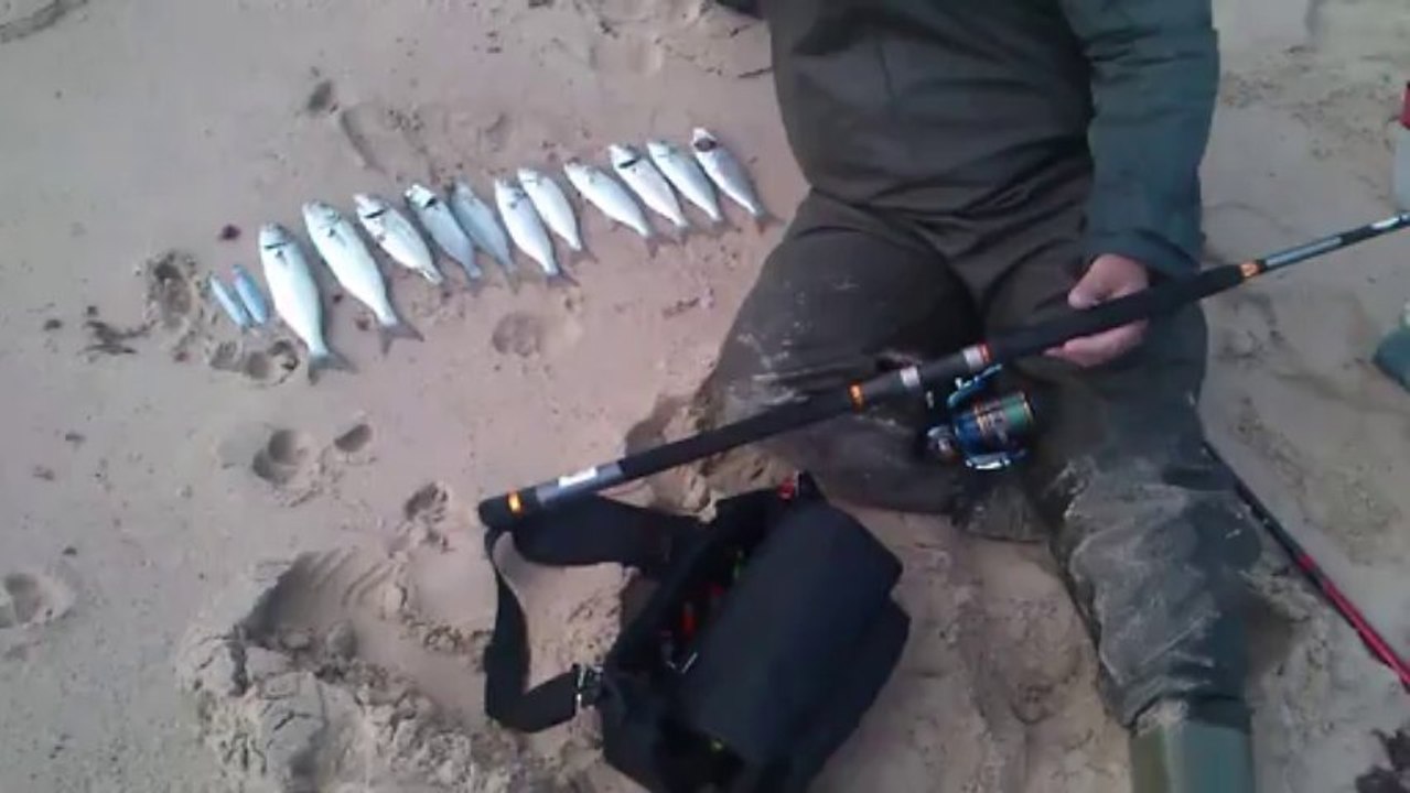 Bilent Yıldırım spin ile lüfer avı (blue fish)