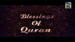 Blessings of Quran Ep 23 - Interpertation of Verse Number 49 Of Sorah Al-Baqrah