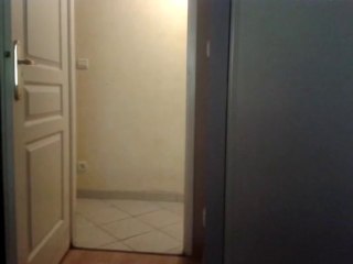 Caly ma Calopsitte eam et son entraînement  journalier au rappel