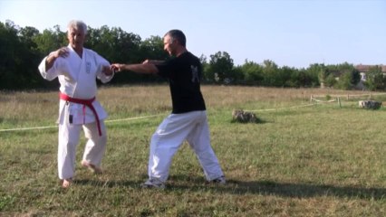 Mawashi geri - Karaté Martial