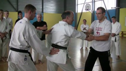 Oi zuki - Karaté Martial