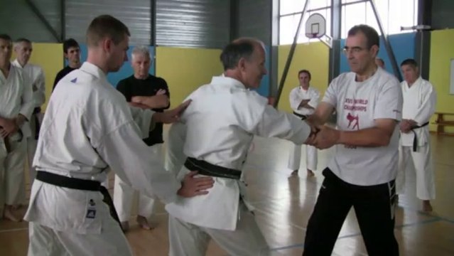 Oi zuki - Karaté Martial