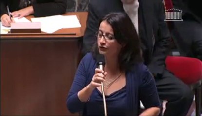 "Nous voulons le retour des services publics dans les territoires ruraux" - Cécile Duflot lors des #QAG du 08/10/13