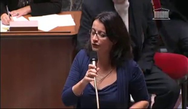 Nous voulons le retour des services publics dans les territoires ruraux - Cécile Duflot lors des #QAG du 08/10/13