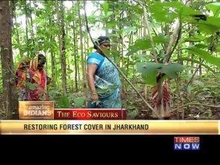 Amazing Indians -  Green warrior from Bargasai