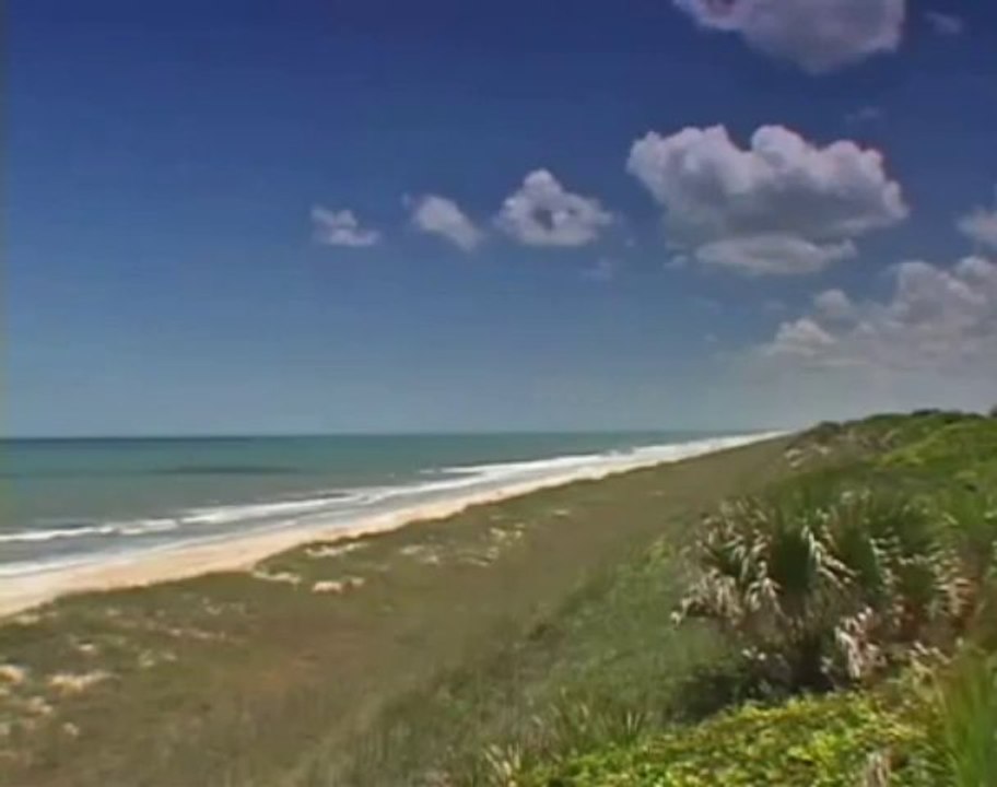 FON MUZIK..KANUN VE NEY TAKSIMI.2011