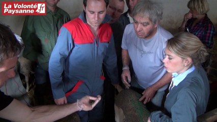 GDS Aveyron : des formations éleveur infirmier