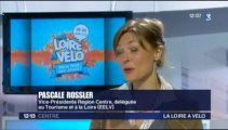 Itw Pascale Rossler EELV - extrait 12/13 France 3 Centre du 5 juin 2013