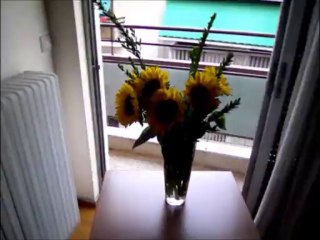 first video of vasilis