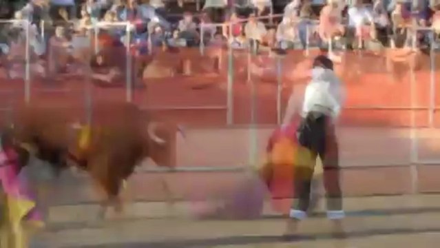 ENTRETENIDO FESTIVAL EN OLIAS DEL REY