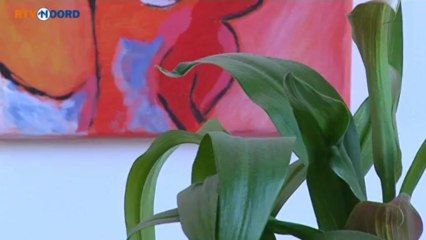 Reis naar Libie om boek Van Boon te bekostigen - RTV Noord