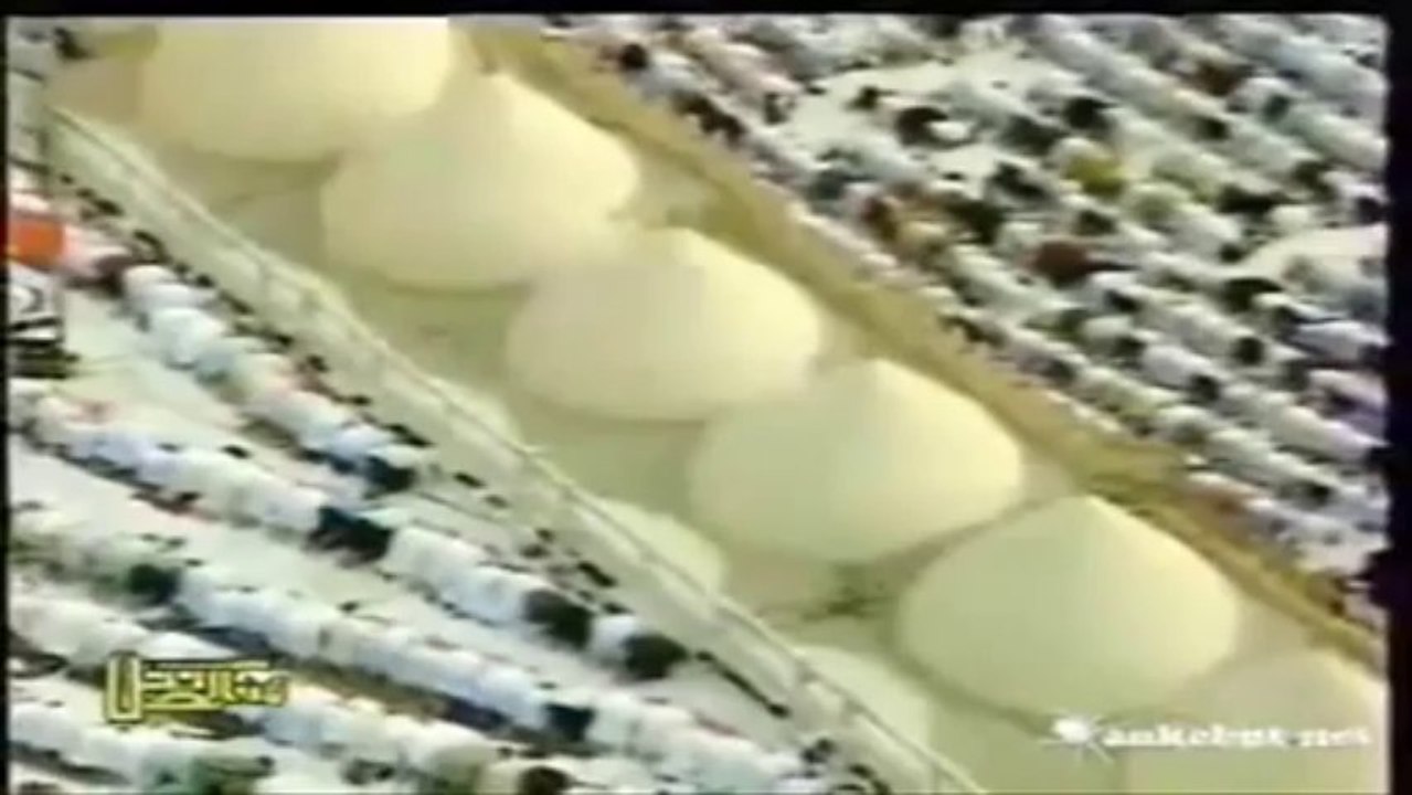 sebiaruz medineye varmadim. 2011