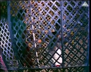 Kalyana Naal - PARAKUM PAAVAI (1966)