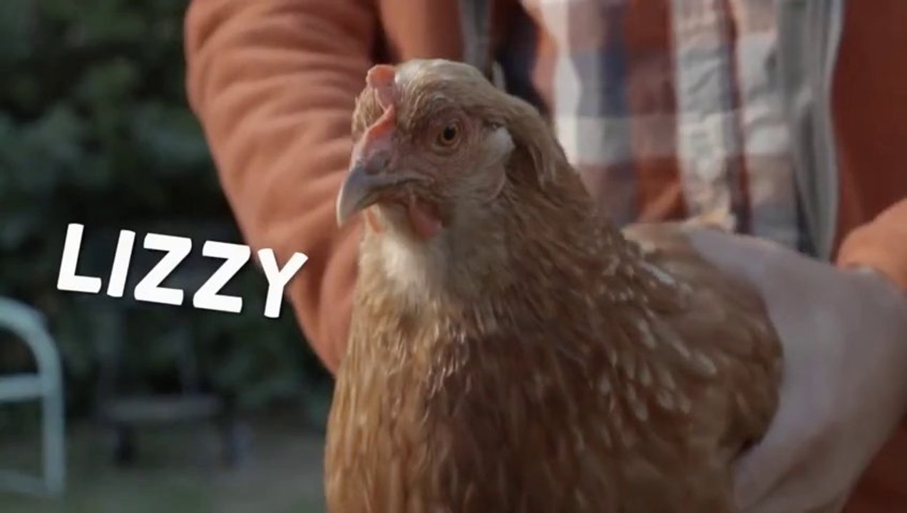 LG G2 Funny Chicken Commercial: The Most Extreme Camera Ever