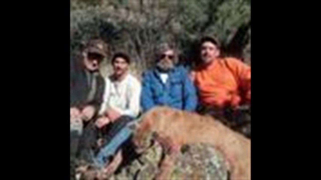 Track and Tree Outfitters Bear and Mountain lion success photographs