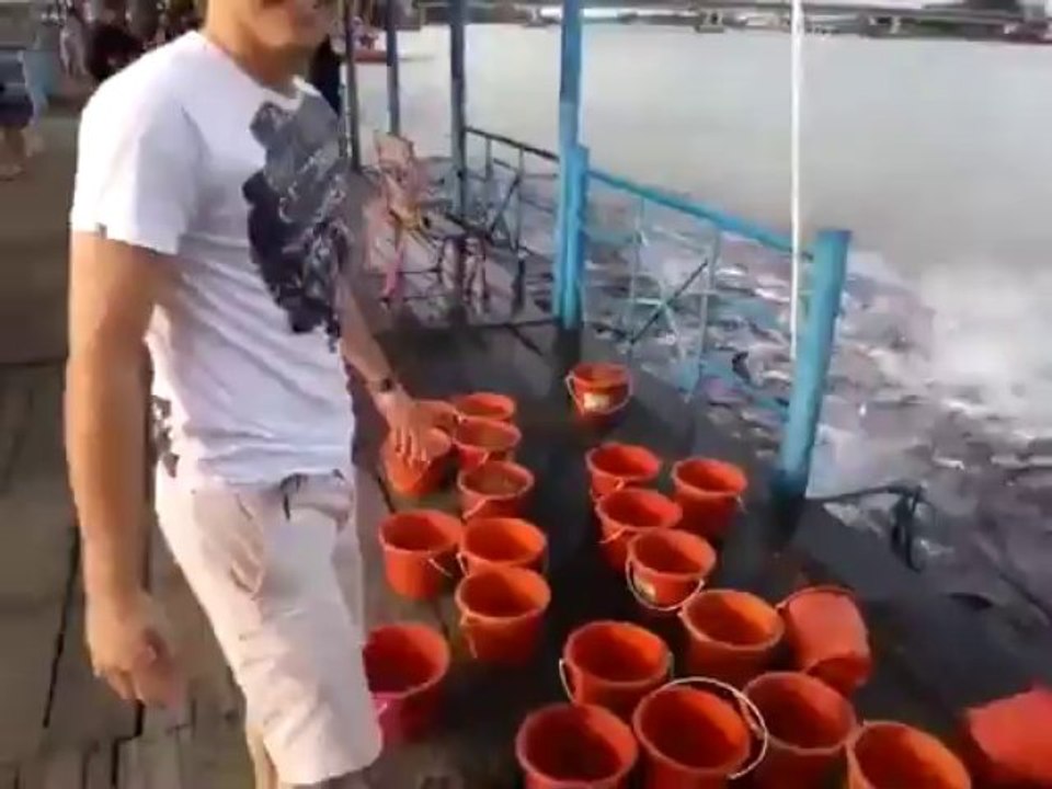 Crazy Fish Feeding. Did someone say fish? :)
