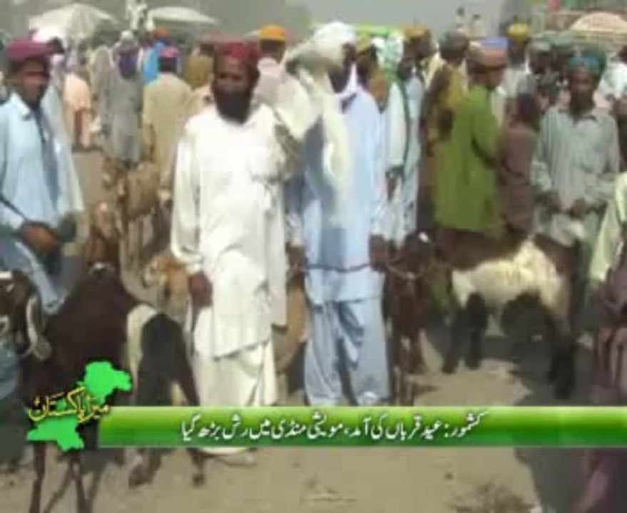 Kashmore Maweshi Mandi