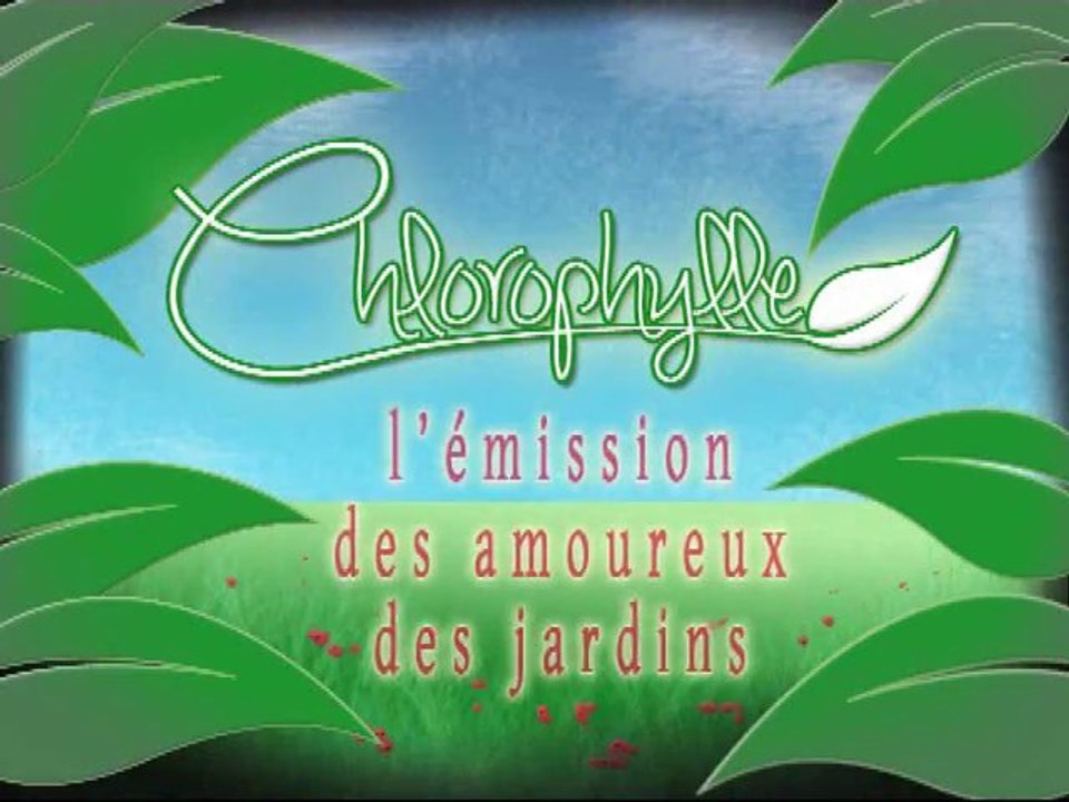 Chlorophylle épisode 56 sur Télé Doller