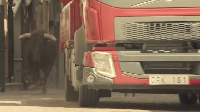 Volvo Trucks chased by herd of running bulls in Ciudad Rodrigo Streets!!