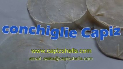 Filippine conchiglie Capiz Natural Product produttore ed esportatore