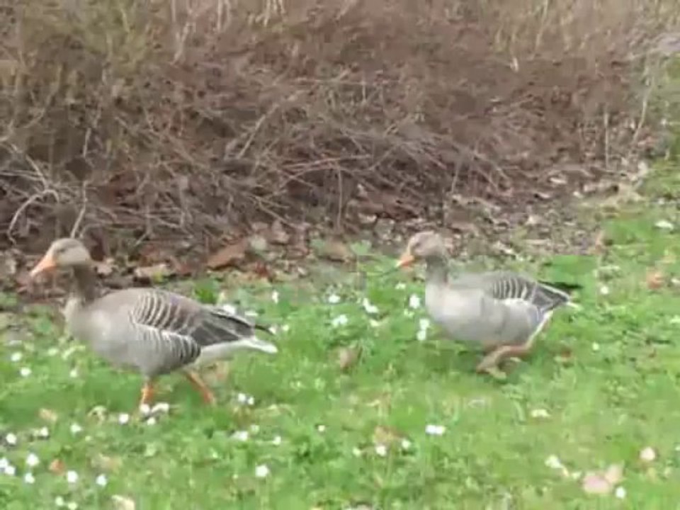 GreizPark_1_Vogelschau