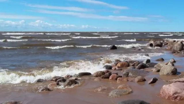 группа MODA На волне