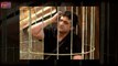 Bigg Boss 7 10th October Day 25 FULL EPISODE : VJ Andy and Armaan Kohli get into an abusive fight