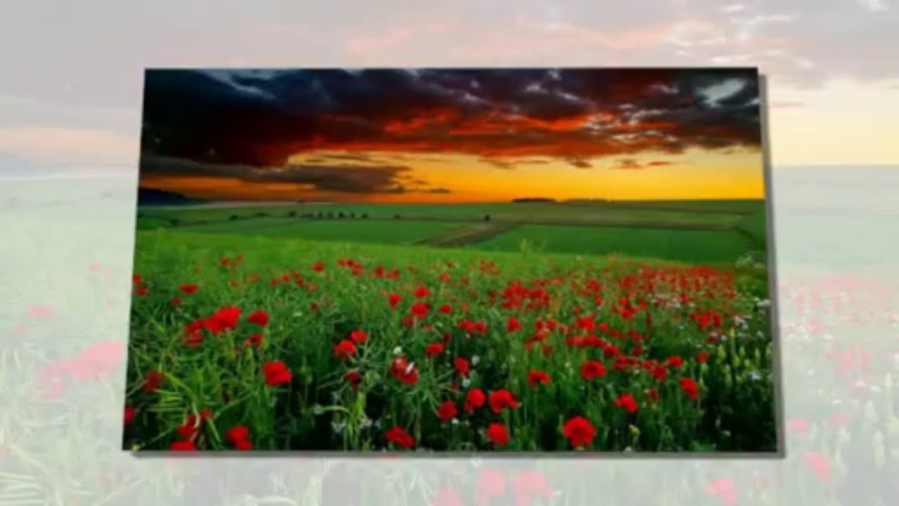 Ajda Pekkan- Yeşil Gözlüm 2013 Yeni Single