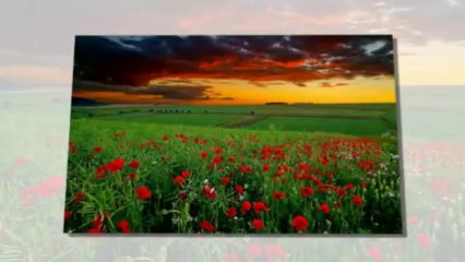 Ajda Pekkan- Yeşil Gözlüm 2013 Yeni Single