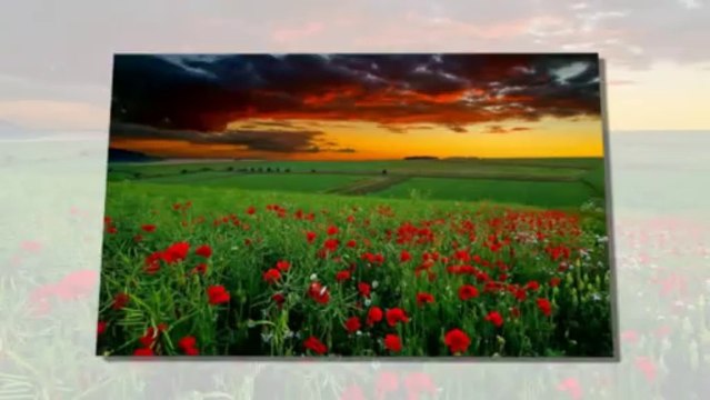 Ajda Pekkan- Yeşil Gözlüm 2013 Yeni Single