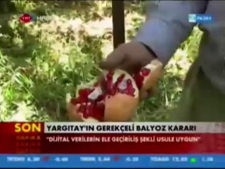 TRT HABER ZİVZİK NARI