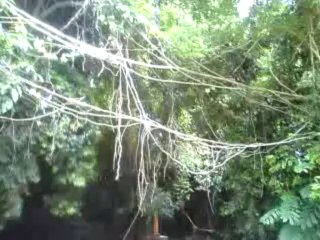 Majestic Mahakali Layam Malayalam Devotional Song 🎶 | B. Venugopalan Kumar & Swamy Atmananda - thumbnail