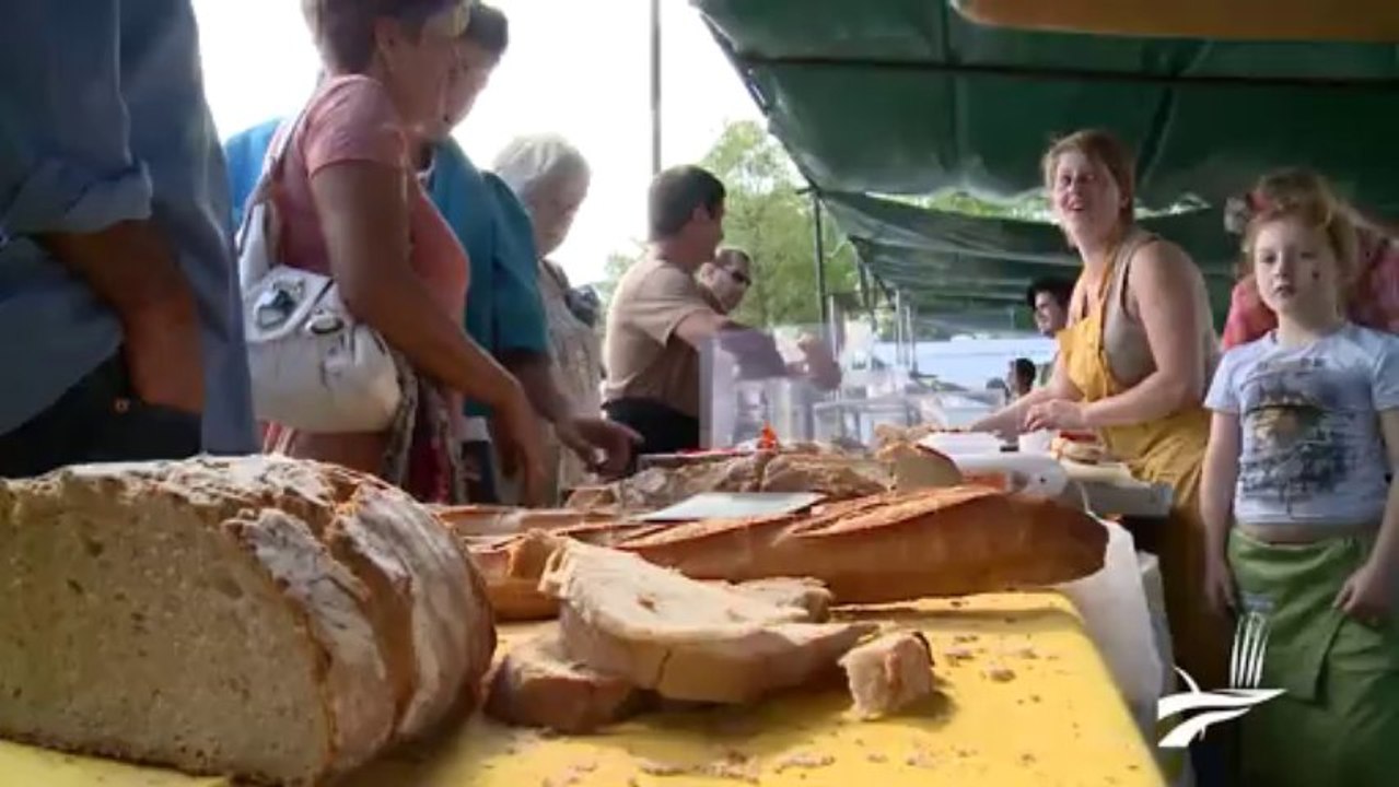Fête du Parc du Marais poitevin 2013