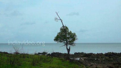 A Tranquil Seashore at Mayabunder