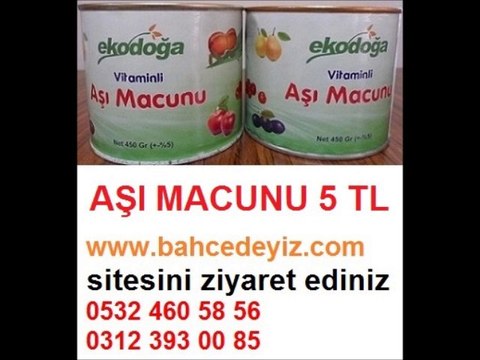 ,aşı-macunu,AŞI MACUNU,aşı macunu fiyatları,aşı-macunu-fiyatları,aşı macunu fiyatı
