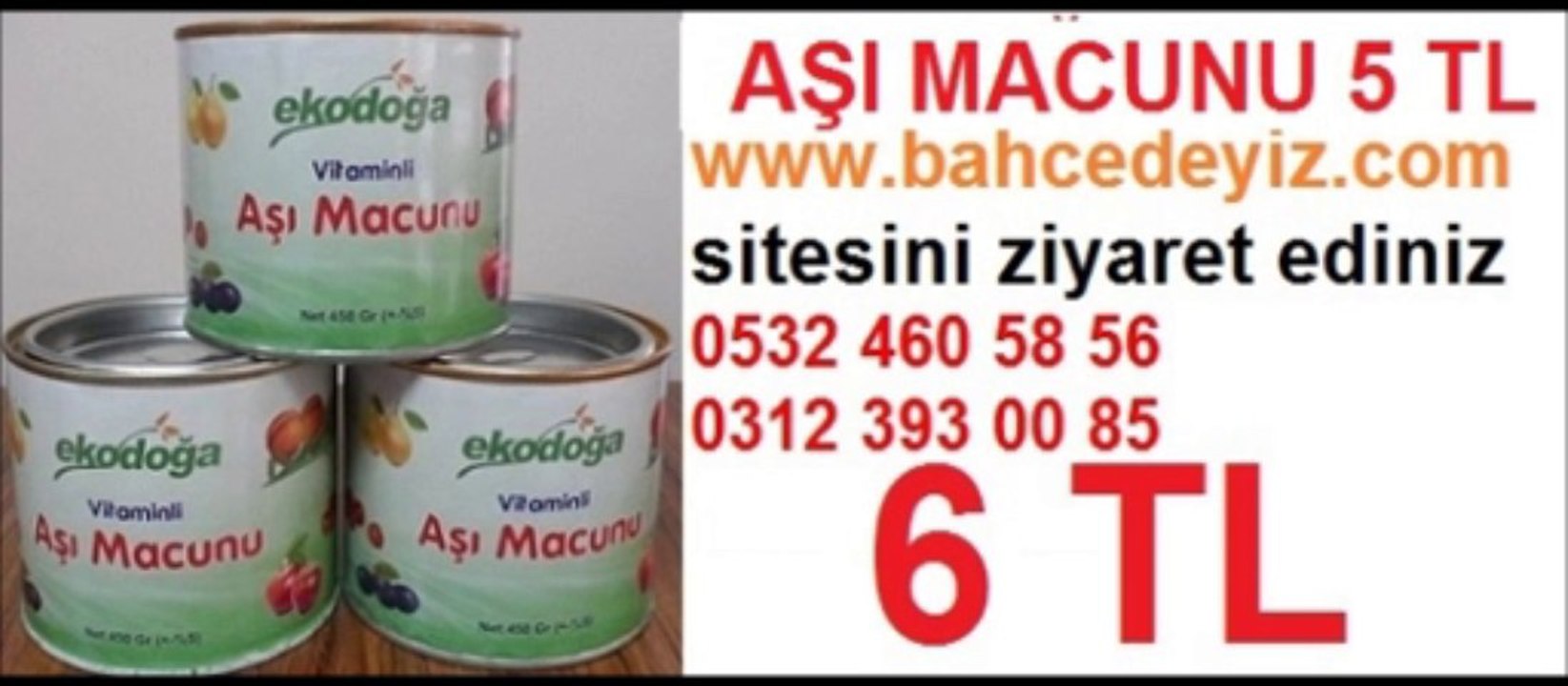 AŞI MACUNU,aşı macunu fiyatları,aşı-macunu-fiyatları,aşı macunu fiyatı,aşı-macunu-fiyatı