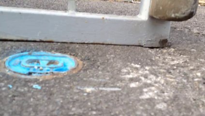 20131010 DOLI Portail-Goudron1